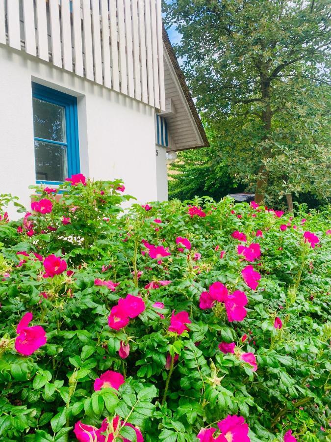 Ferienwohnung Schwalbe Wieck/Darss Exterior foto